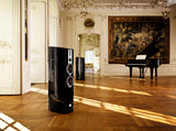 DALI Epicon 6 Speakers