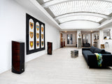 DALI Epicon 6 Speakers