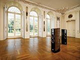 DALI Epicon 6 Speakers