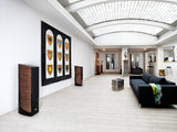 DALI Epicon 6 Speakers