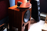 Arteluthe (TAD) Cadenza Horn Speakers