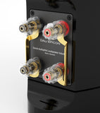 DALI Epicon 6 Speakers