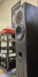 Merlin Music Systems VSM Loudspeakers