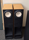 Fostex FE208 Sigma in Back Loaded Horn Cabinets
