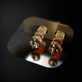 Fezz Audio Gratia Prestige EVO MM/MC Tube Phono Amp - In Stock & On Sale