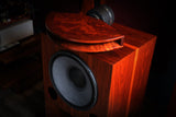 Arteluthe (TAD) Cadenza Horn Speakers